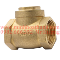 Brass swing check valve - mbv brand